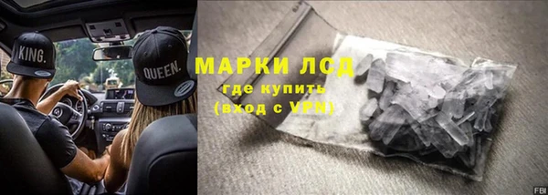 хмурый Аркадак