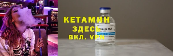 хмурый Аркадак