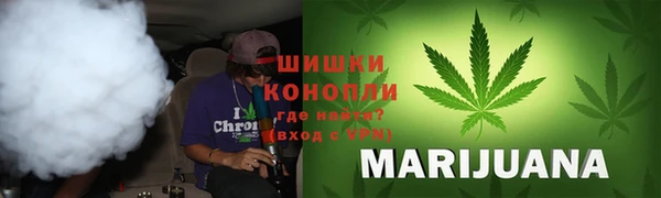 хмурый Аркадак
