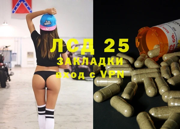 хмурый Аркадак