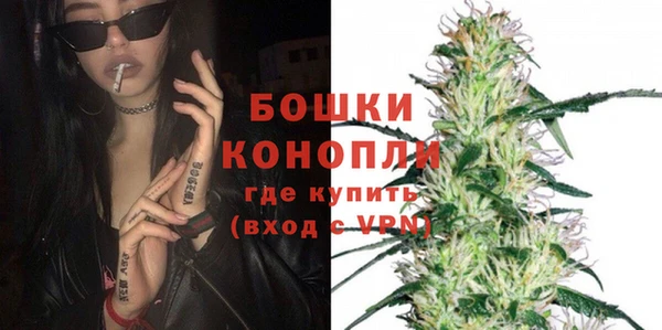хмурый Аркадак