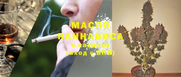 хмурый Аркадак