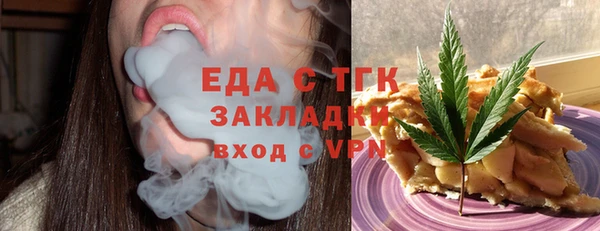 хмурый Аркадак