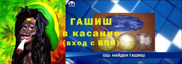стаф Богородицк